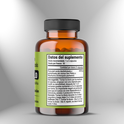 Mescaline Microdose🌵 M07: Connection – Guidance – Harmony 