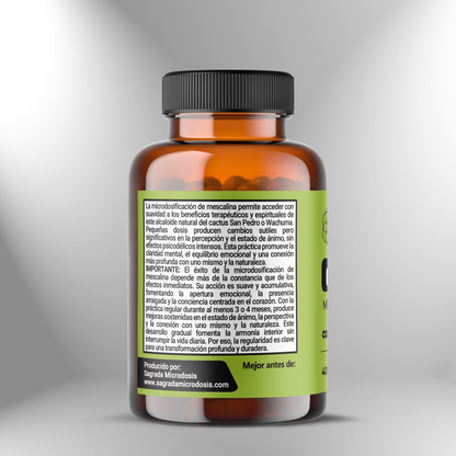 Mescaline Microdose🌵 M07: Connection – Guidance – Harmony 