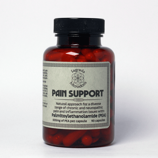 Pain Support S05: Support for chronic pain