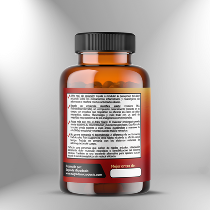 Pain Support S05: Support for chronic pain